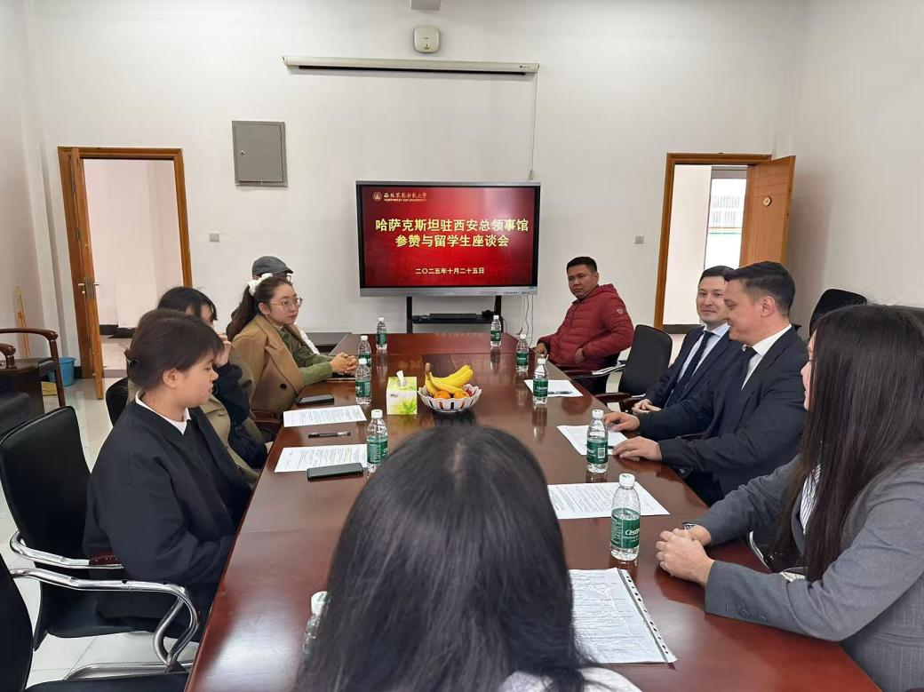 座谈会.png